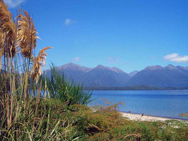 Neuseeland - Lake Manapouri