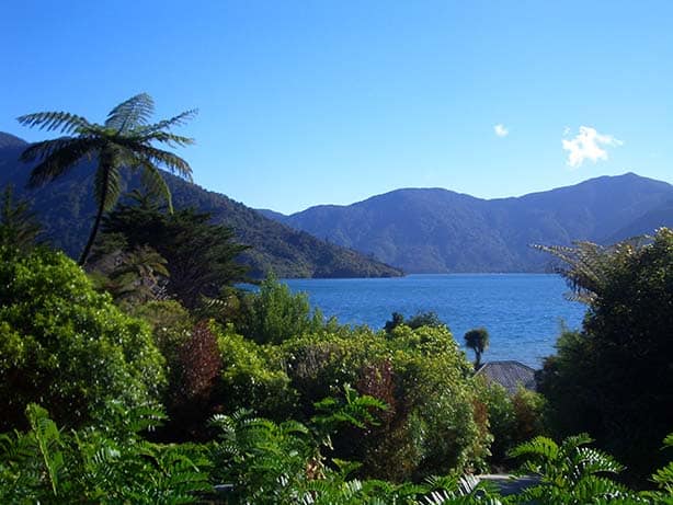 Neuseeland - marlborough sounds