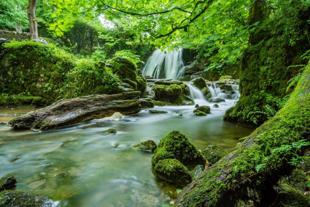 Lorentz National Park